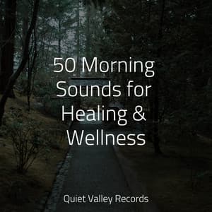 50 Morning Sounds for Healing & Wellness - Nature Sound Series