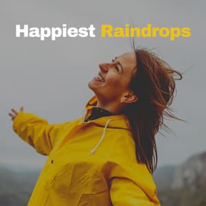 Happiest Raindrops - Day & Night Rain