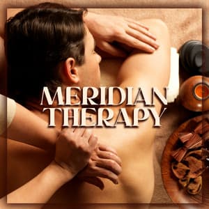Meridian Therapy - Music For Chinese Acupuncture - Chinese Yang Qin Relaxation Man