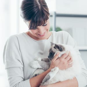 Calm Waters: Ambient Cat Comfort - Water Way