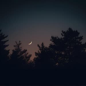 Soft Lofi Sounds for Nightly Tranquility - Lofi Realxing Music