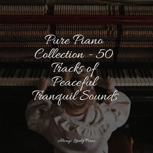 Tranquil Summer Piano - Smart Baby Academy