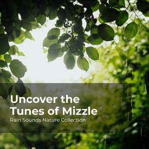 Uncover the Tunes of Mizzle - Rain Sounds Nature Collection