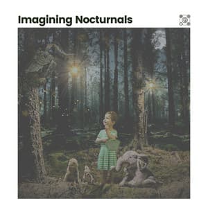 Imagining Nocturnals - High Altitude Samples