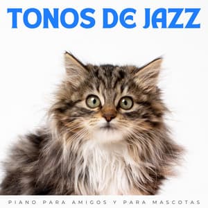 Tonos De Jazz: Piano Para Amigos Y Para Mascotas - Ambiente relajante de jazz instrumental