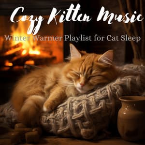 Cozy Kitten Music - Winter Warmer Playlist for Cat Sleep - Cat Music Dreams