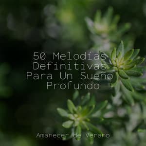 50 Melodías Definitivas Para Un Sueño Profundo - Meditación