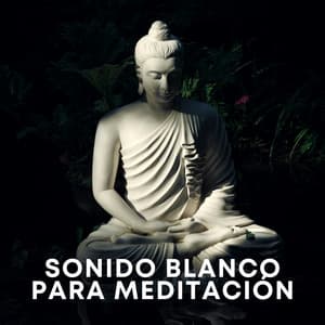 Sonido Blanco Para Meditación - Ruido Rosado Para Bebés