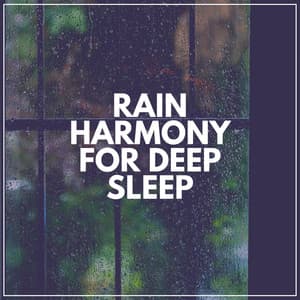 Rain Harmony for Deep Sleep - Rain for Deep Sleep
