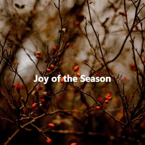 Joy of the Season - Good Morning Jazz