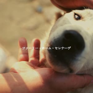 ファーリー・ホーム・セレナーデ - Office Background Music Playlists