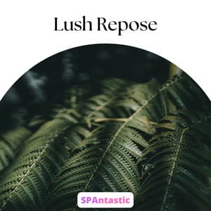 Lush Repose - SPAntastic
