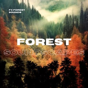 Forest Soundscapes - FX Forest Sounds
