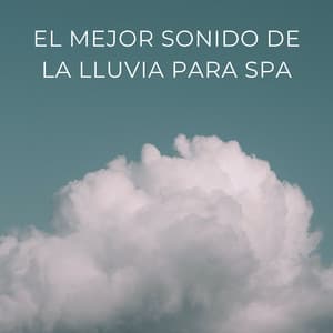 El Mejor Sonido De La Lluvia Para Spa - Medi Rela