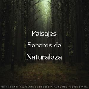 Paisajes Sonoros De Naturaleza: Un Ambiente Relajante De Bosque Para Tu Meditación Diaria - Paisajes sonoros épicos