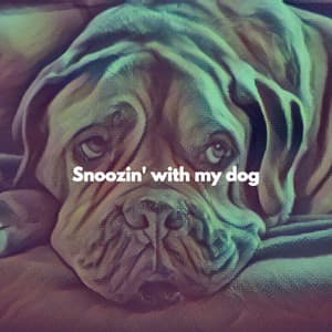 Snoozin' with my dog - Classy Lounge Playlist