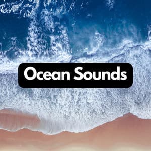 Coastal Echoes: Natural Wave Sounds - Relajación