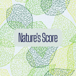 Nature's Score - Nature Sounds Artists