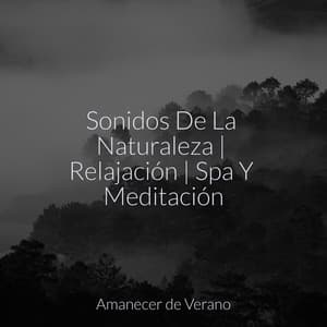 Sonidos De La Naturaleza | Relajación | Spa Y Meditación - Musica Para Dormir y Sonidos de la Naturaleza