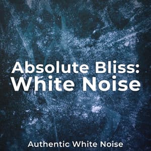 Absolute Bliss: White Noise - Authentic White Noise