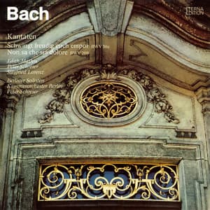 Bach: Schwingt freudig euch empor, BWV 36c / Non sa che sia dolore, BWV 209 - Johann Sebastian Bach
