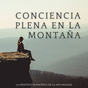 Conciencia Plena En La Montaña: La Meditación Pacífica De La Naturaleza - Efectos especiales del bosque