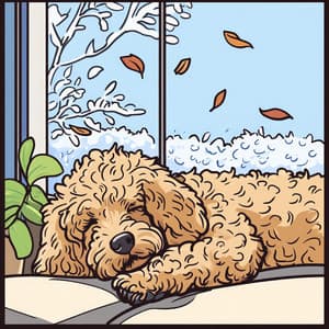 Lieflijke Lofi Deuntjes voor Jouw Speelse Hond - Dog Therapy