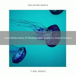 Hard White Noise Of Weather And Water For Instant Dreams - Noise Gravity