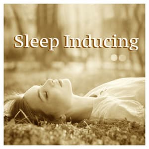 Sleep Inducing: Music for Deep Sleep and Fight Insomnia with Sea Waves, Thunderstorms and Rain - Bedtime Songs Collective