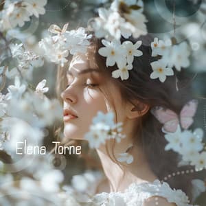 Daydreams Soft Piano - Elena Torne