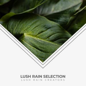 Lush Rain Selection - Lush Rain Creators