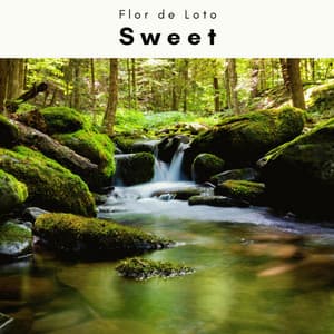 A Sweet - Flor de Loto