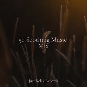 50 Soothing Music Mix - Baby Lullaby