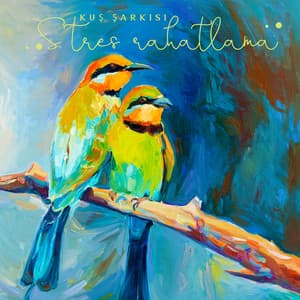 Kuş şarkısı - Stres rahatlama, Anksiyete bozukluğu, Derin uyku, Yastık ninnileri - Bebek Uyku Ninnileri