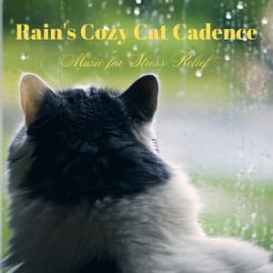 Rain's Cozy Cat Cadence: Music for Stress Relief - Nataural