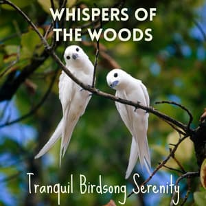 Whispers of the Woods: Tranquil Birdsong Serenity - Mystic Nature