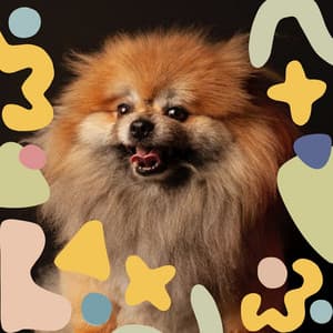 Quartet Jazz - Background Music for Peaceful Hound Resting - Dog Music