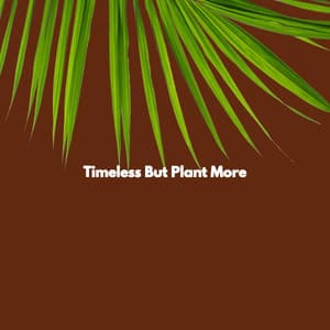 Timeless But Plant More - Popular Jazz Cafe Bar