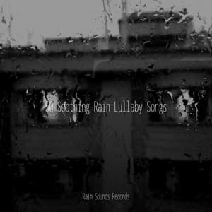 50 Soothing Rain Lullaby Songs - Sounds Of Nature : Thunderstorm, Rain