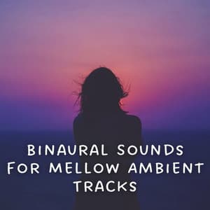 Binaural Sounds for Mellow Ambient Tracks - Binaural Boy