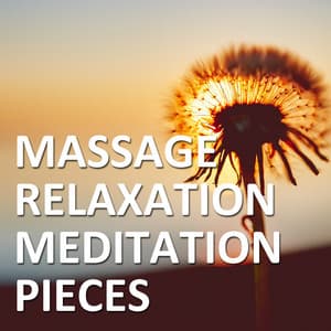 12 Massage Relaxation Meditation Pieces - Yoga Music Workout