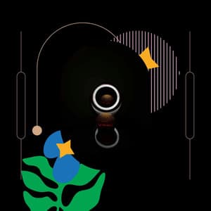 Echoes of Soft Memory - Study Focus Jazz Playlist