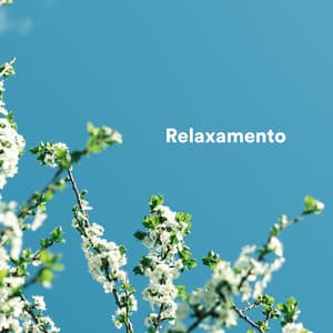 Relaxamento - Musica Para Meditacion Profunda