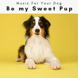 2 0 2 3 Be my Sweet Pup - Music For Your Dog