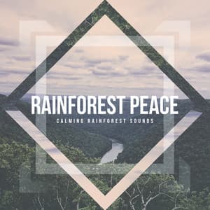 Rainforest Peace - Calming Rainforest Sounds
