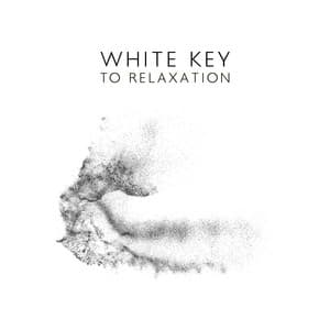 White Key to Relaxation: White Noise with Keys for Stress Reduction and Sleep - White Noise Universe