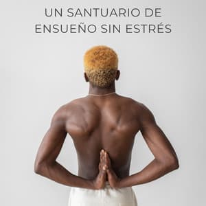 Un Santuario De Ensueño Sin Estrés - Sueños Triplete