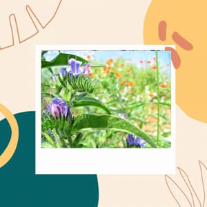 Music for Refreshing Spring - Office Music Playlist