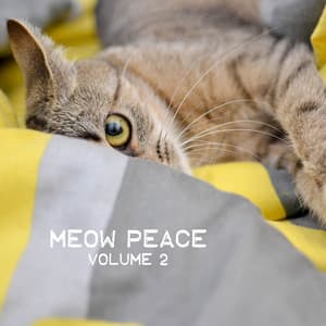 Meow Peace, Vol. 2 - Cat Music