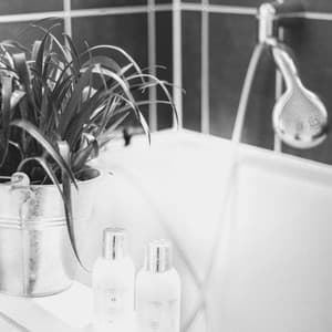 Music for Wholesome Peace - Carefree Glockenspiel Music - 1 Hour Spa Music